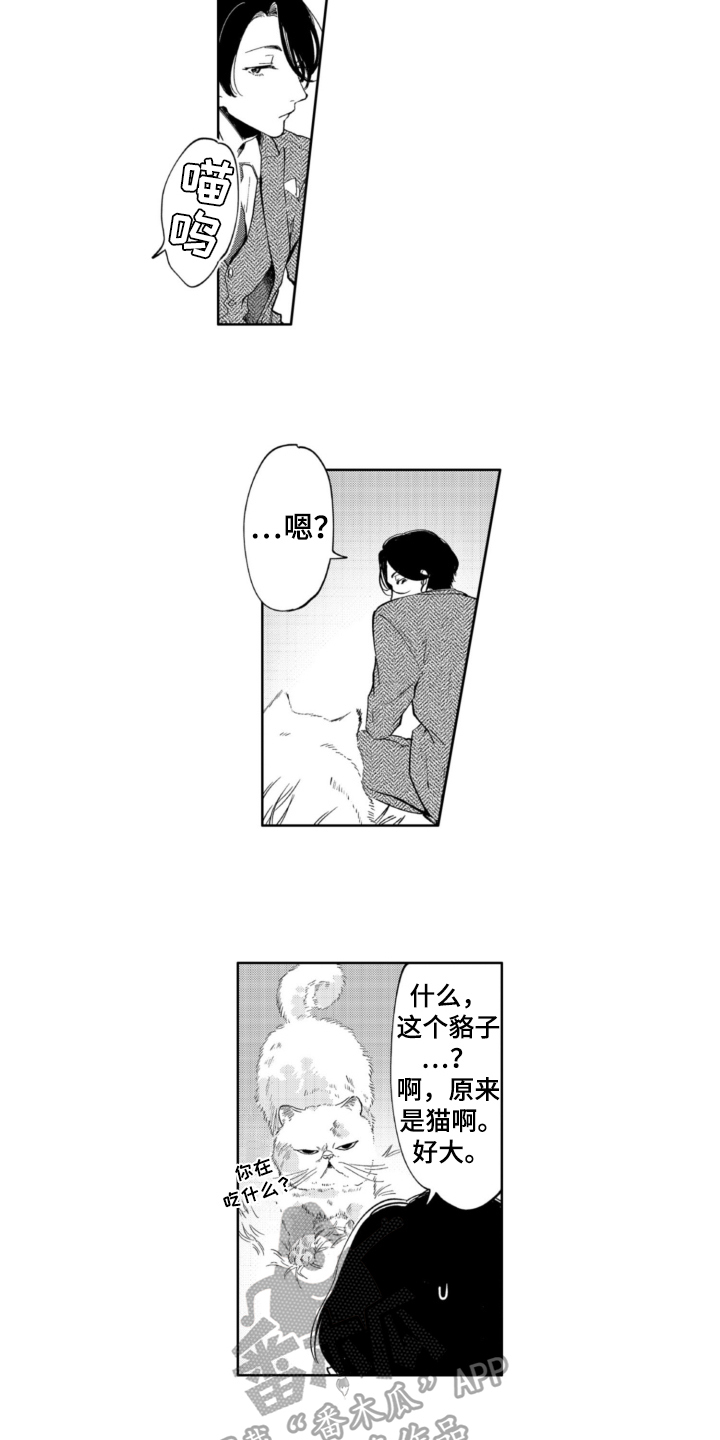 第4章：抛弃1