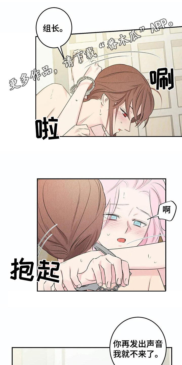 第23章：询问3