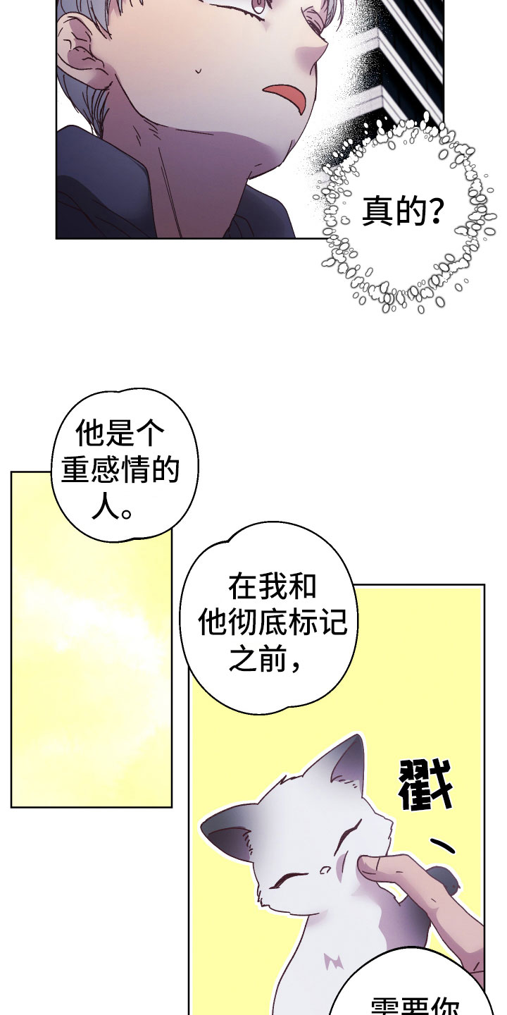 第14章：什么关系3