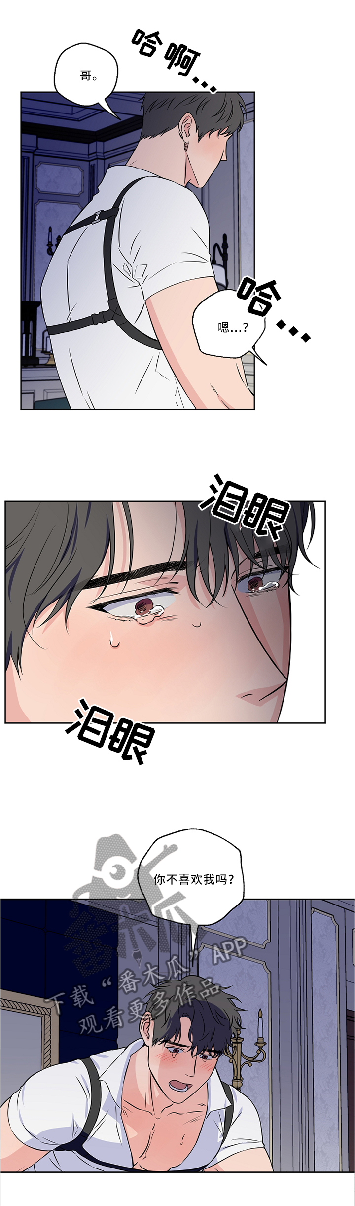 第48章：安慰3