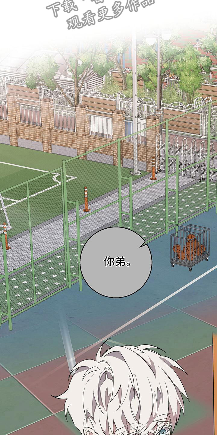 第14章：黏人的小家伙0