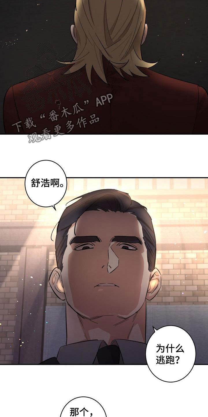第13章：错觉2