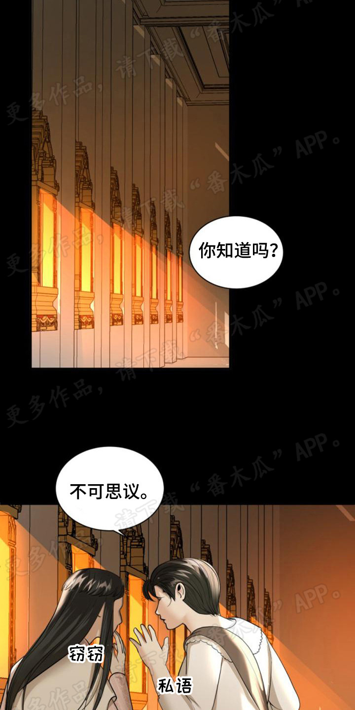 第28章：懦弱3