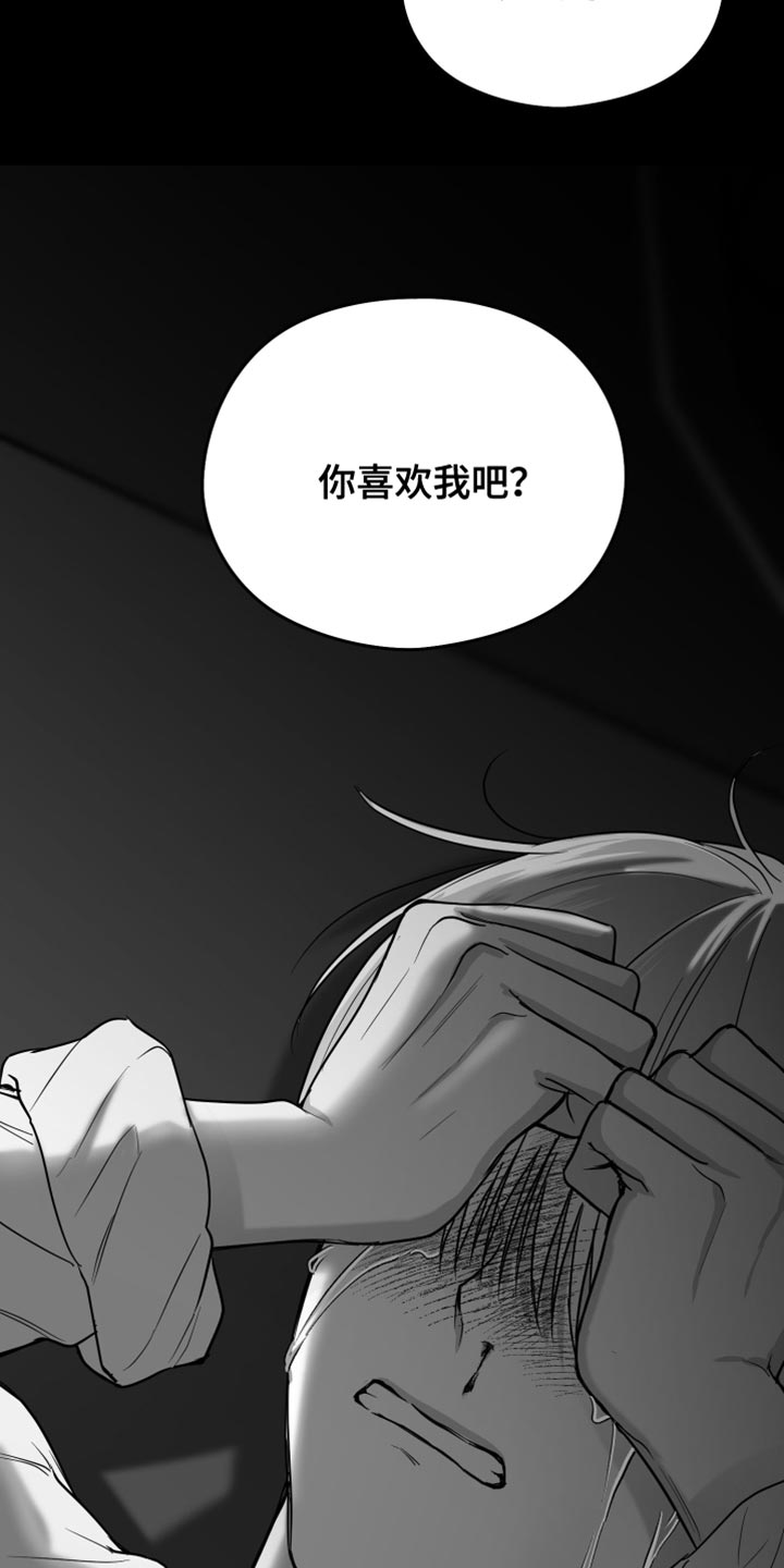 第29章：你喜欢我吧？1