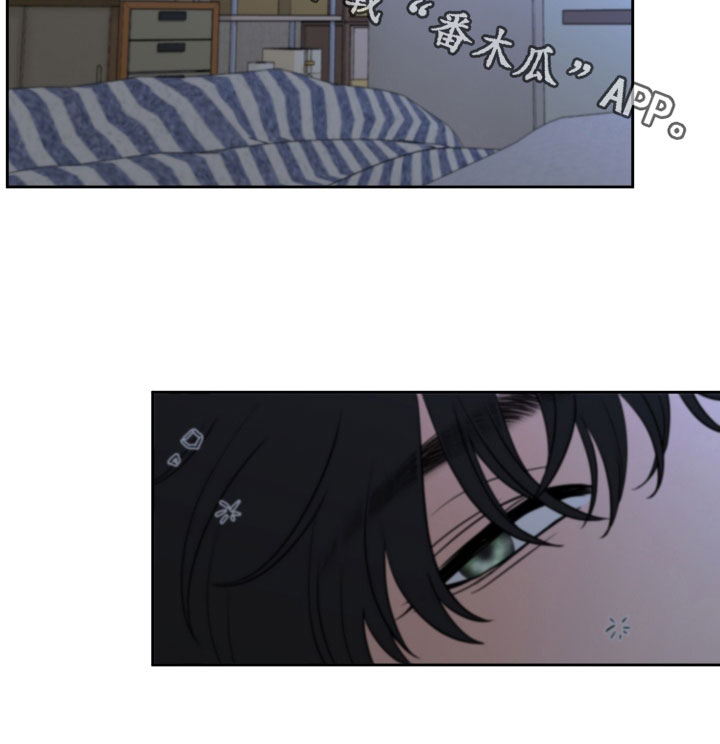 第33章：从未那么喜欢过0