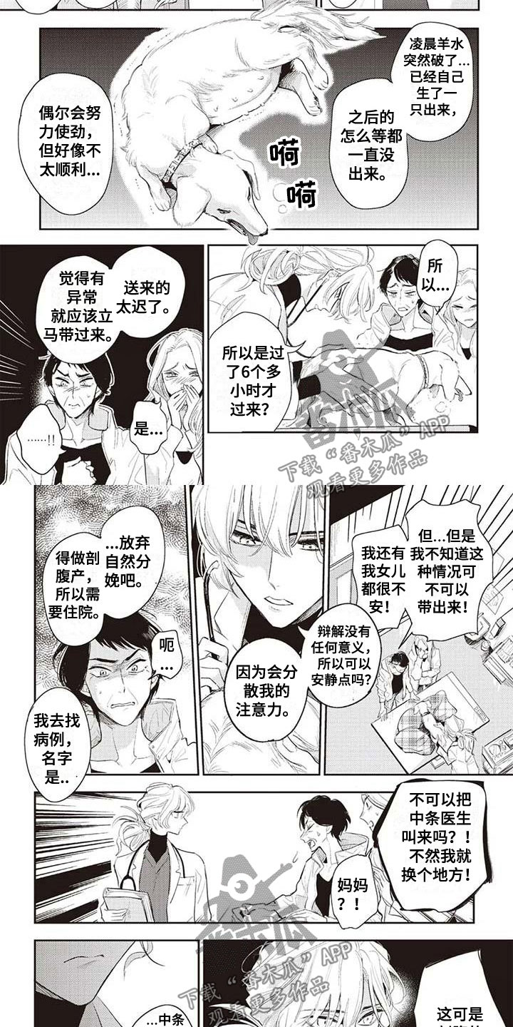 第24章：紧急情况2