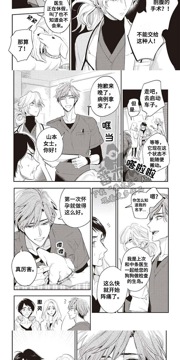 第24章：紧急情况3