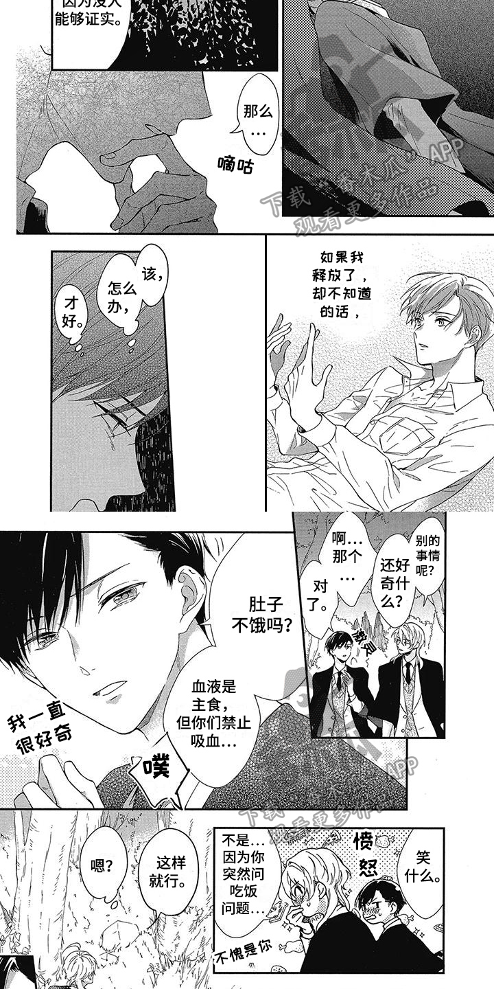 第39章：作用3