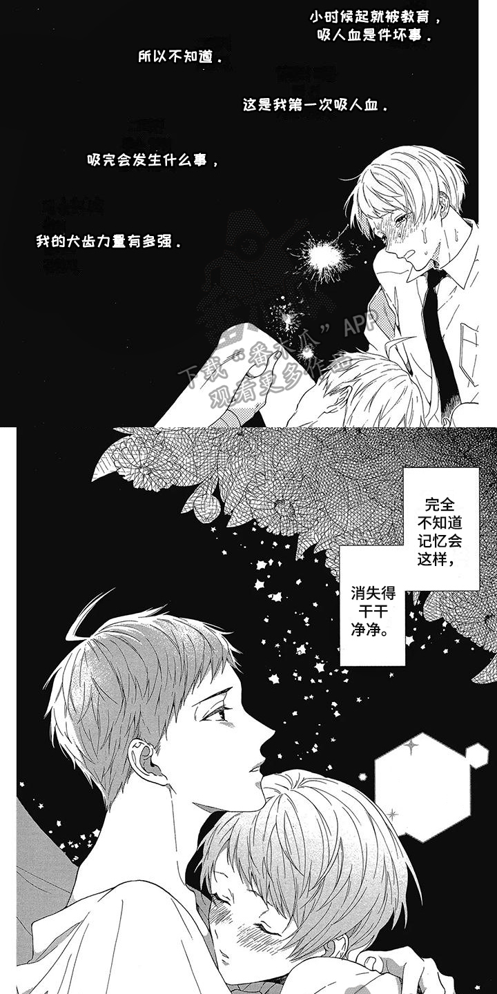 第31章：结果2
