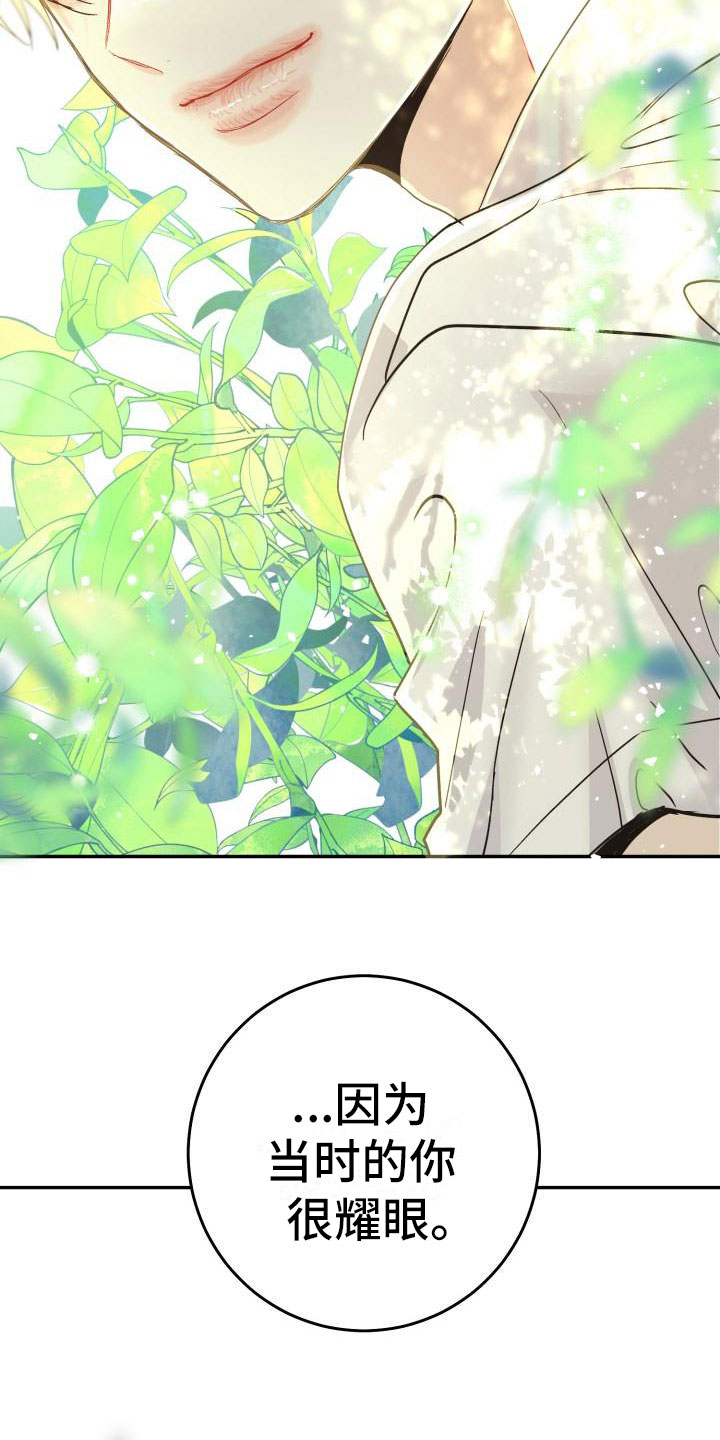 第14章：心动4