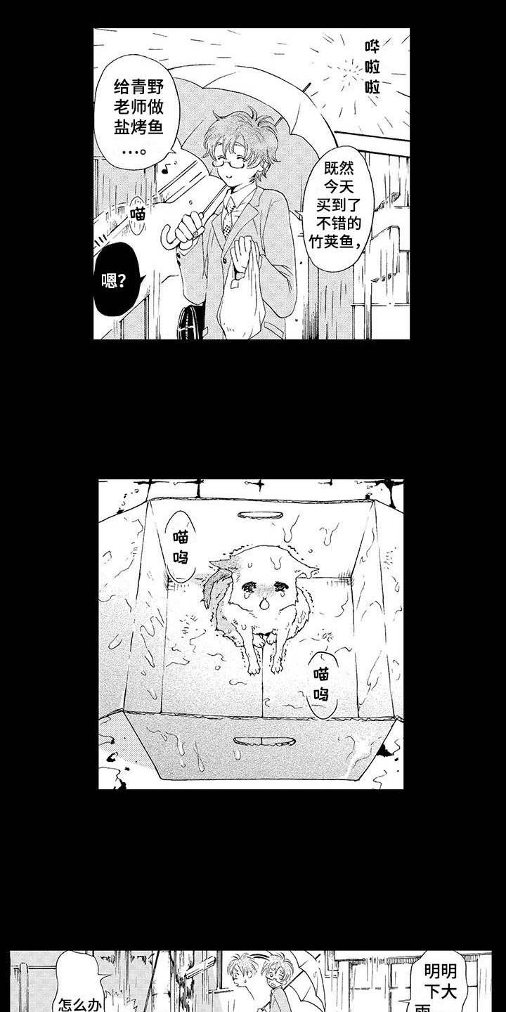 第2章：小猫4