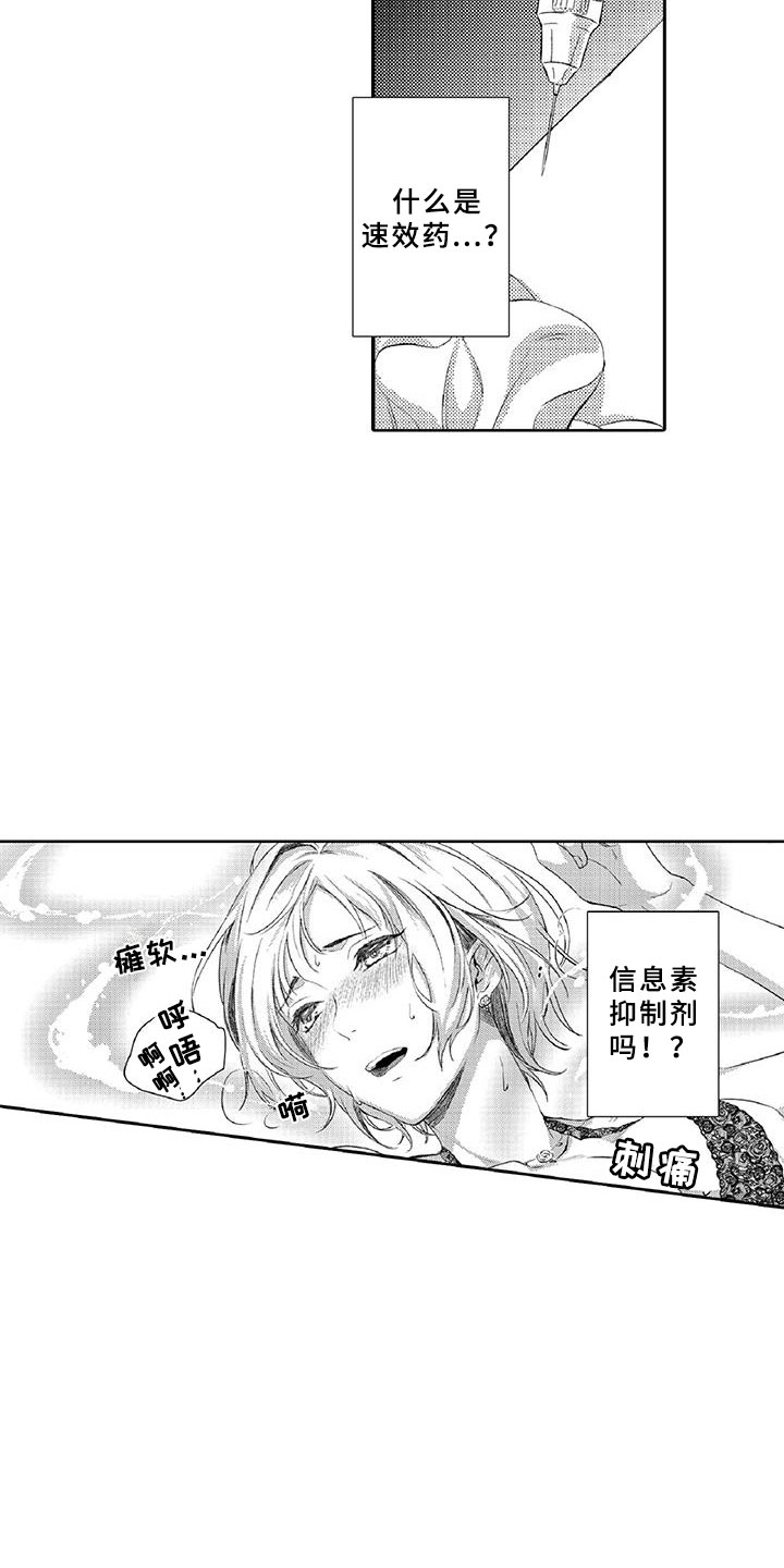 第3章：新手2
