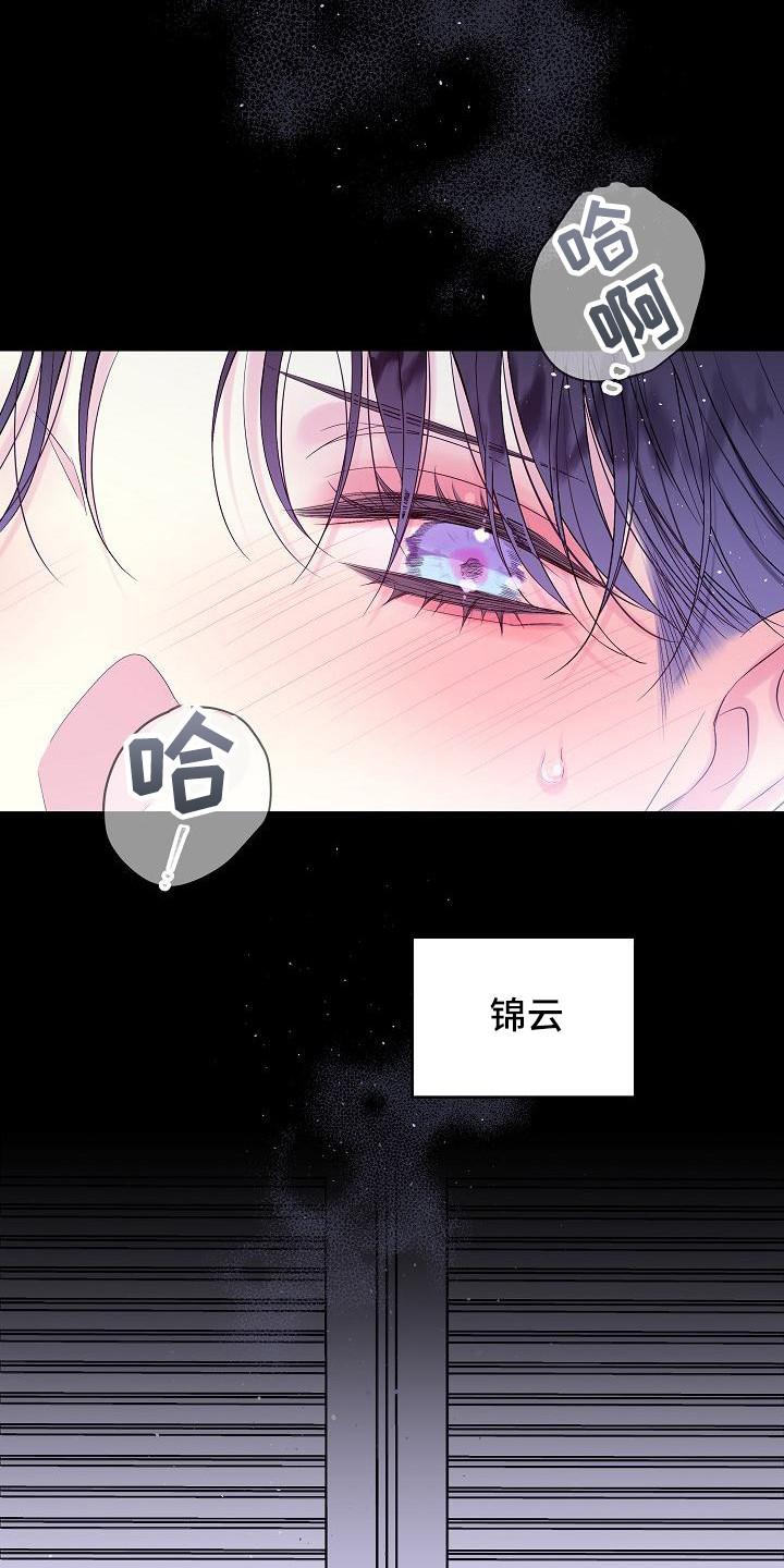 第15章：撞见4