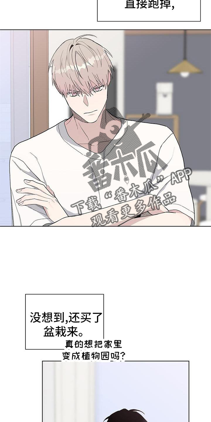 第26章：盆栽2