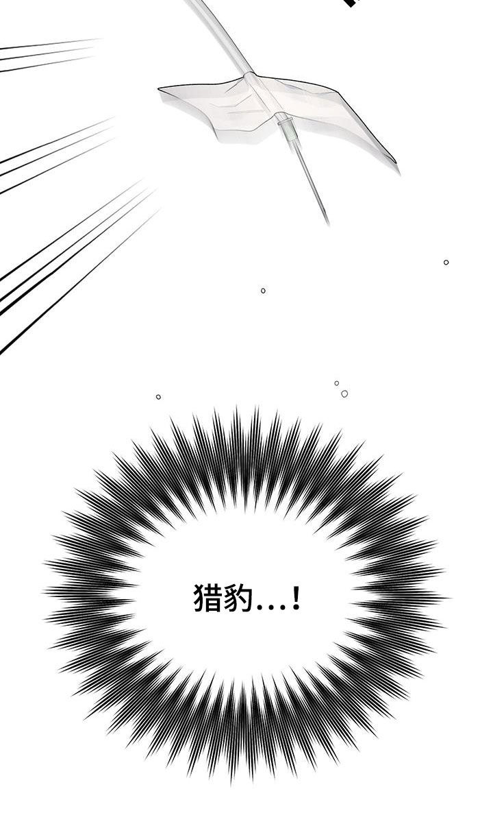 第54章：不是偶然2