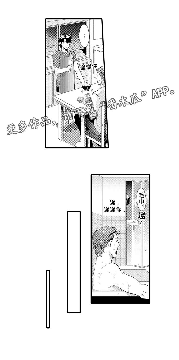 第17章：替代品3