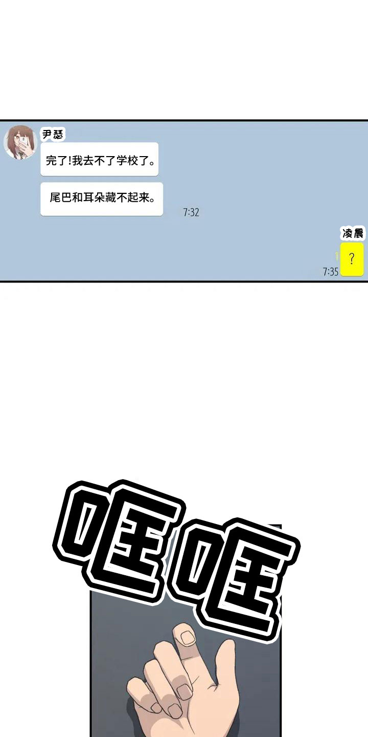 第53章： 羞羞的事0