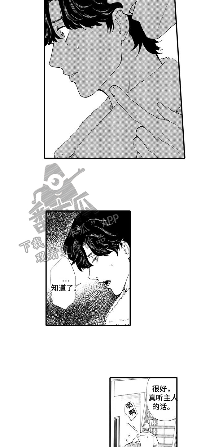 第6章：打听3
