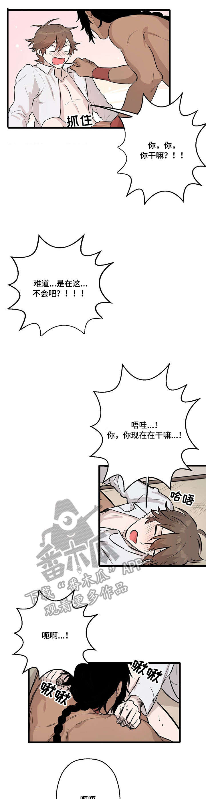 第17章：证明4