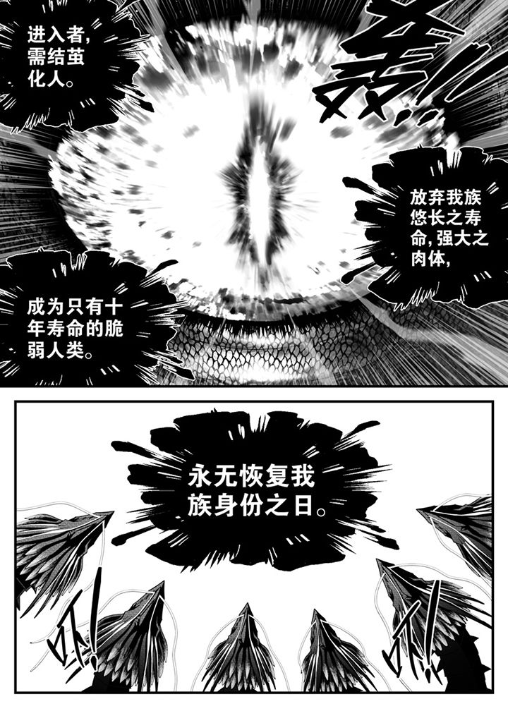 第141章：2