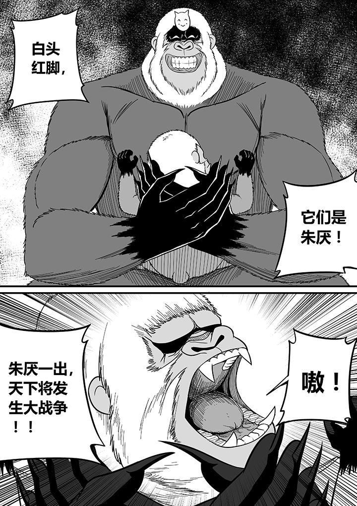 第51章：1