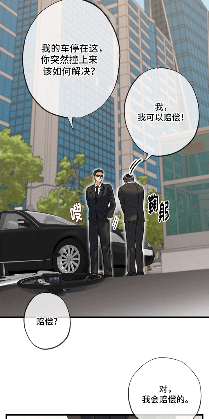 第2章：赔偿2
