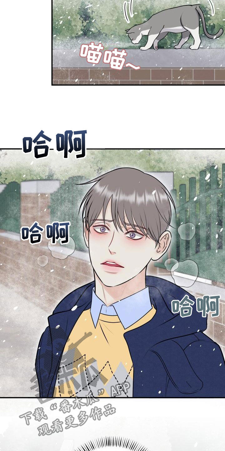 第102章：【第二季】我们分手吧2