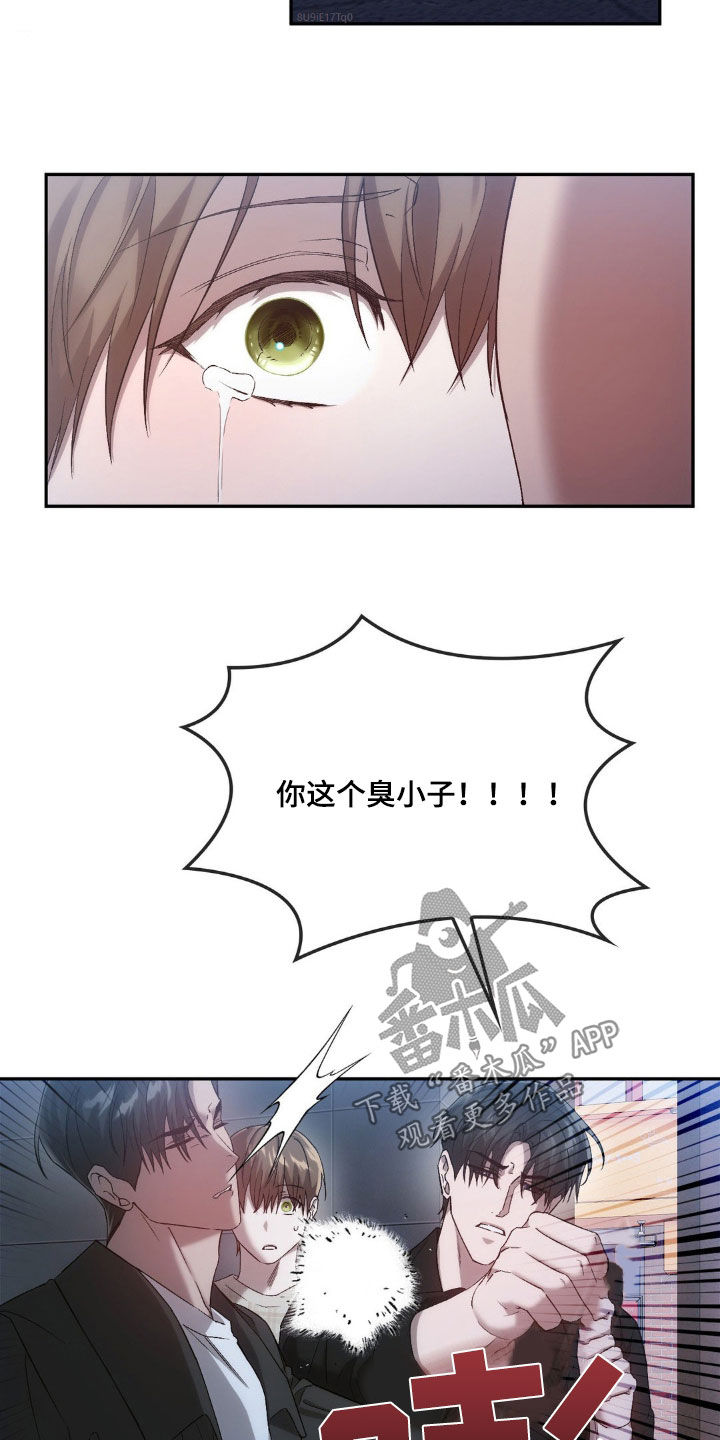 第35章：替代品3