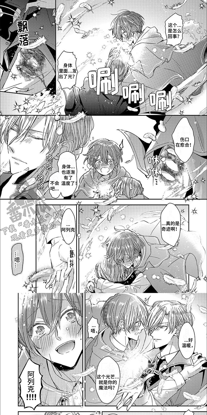 第12章：光芒0