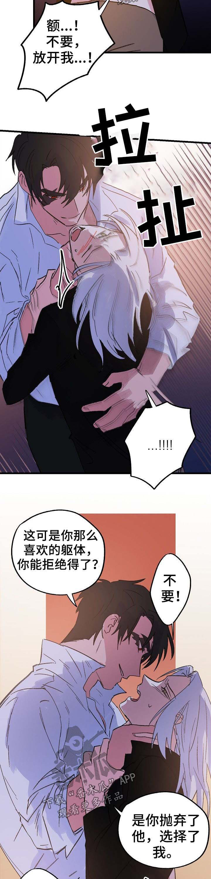 第41章：又会怎样3