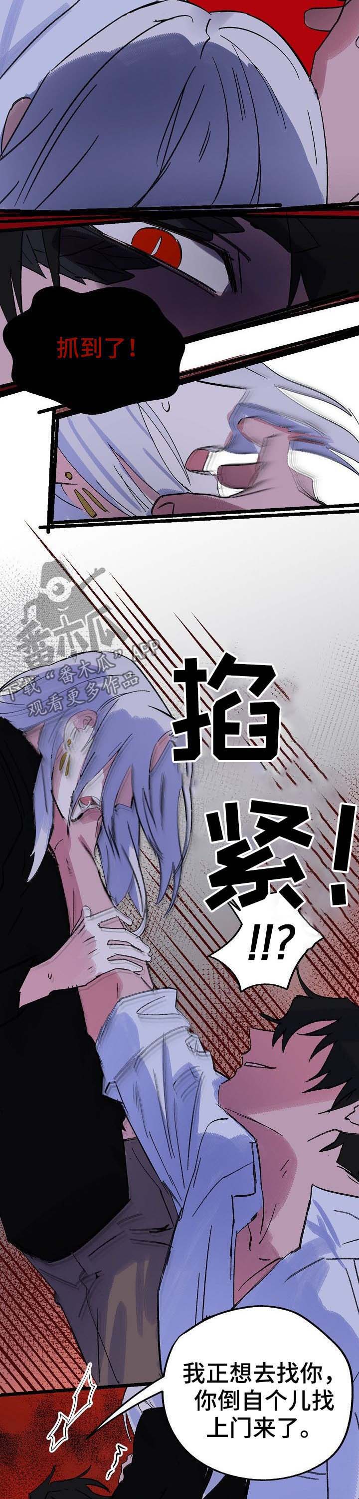 第40章：诅咒4