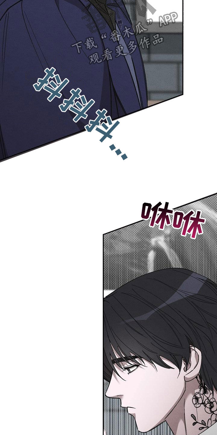 第19章：爱是什么1