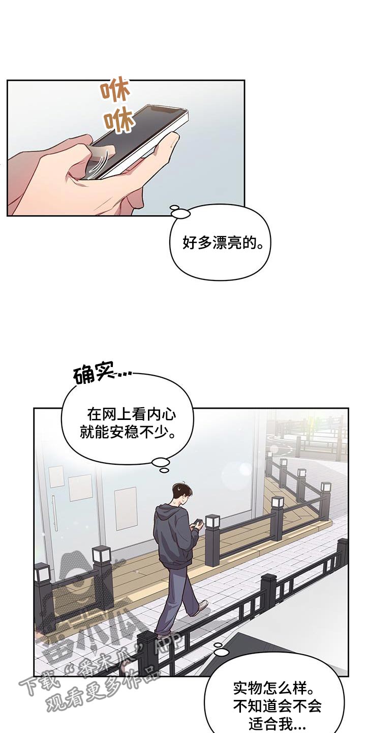 第31章：挑选4