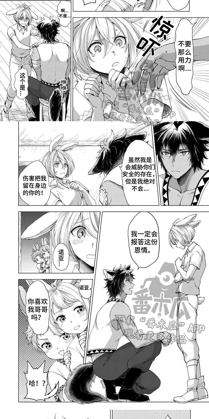 第4章：收留4