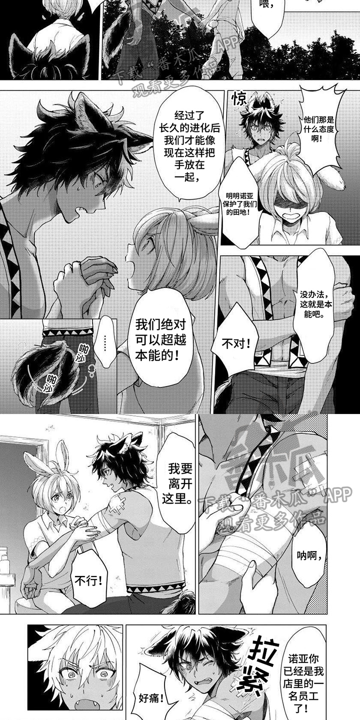 第4章：收留3
