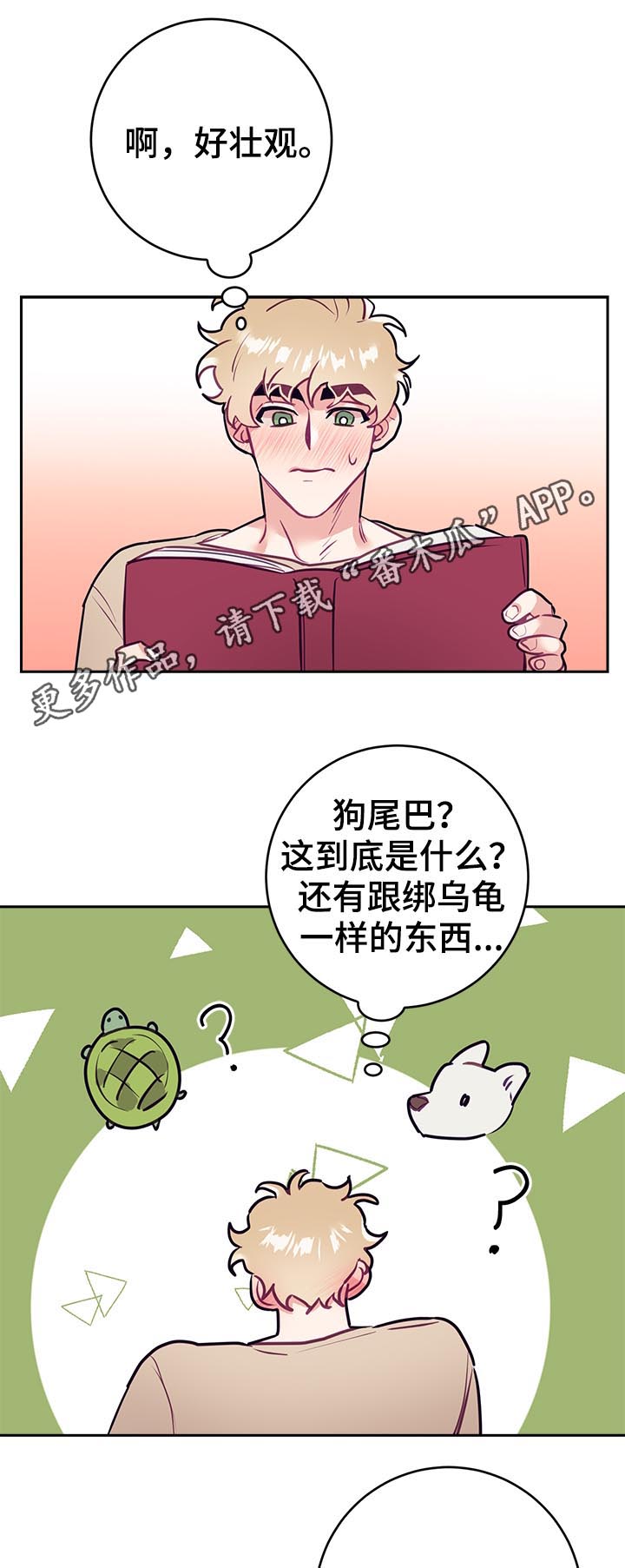 第37章：爱好0