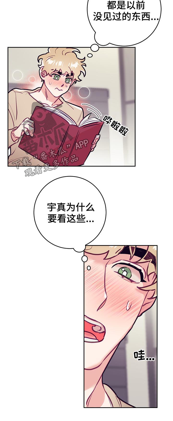 第37章：爱好1