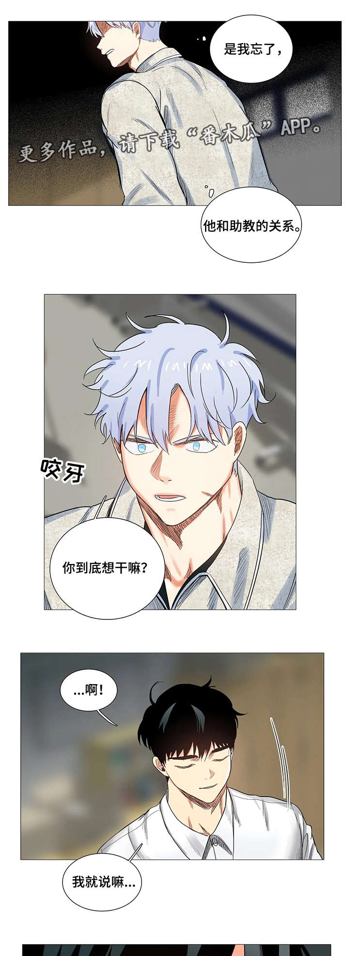第13章：条件0