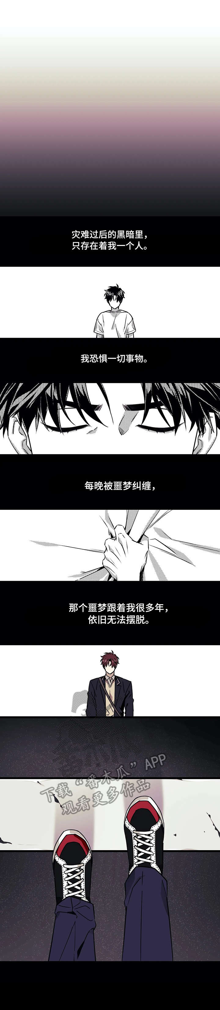 第25章：光0