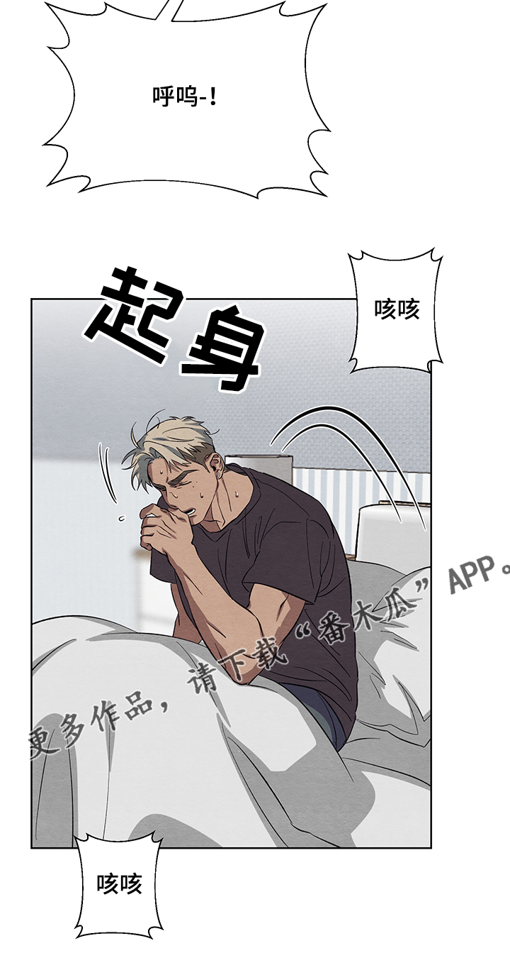 第29章：傻瓜与傻瓜3