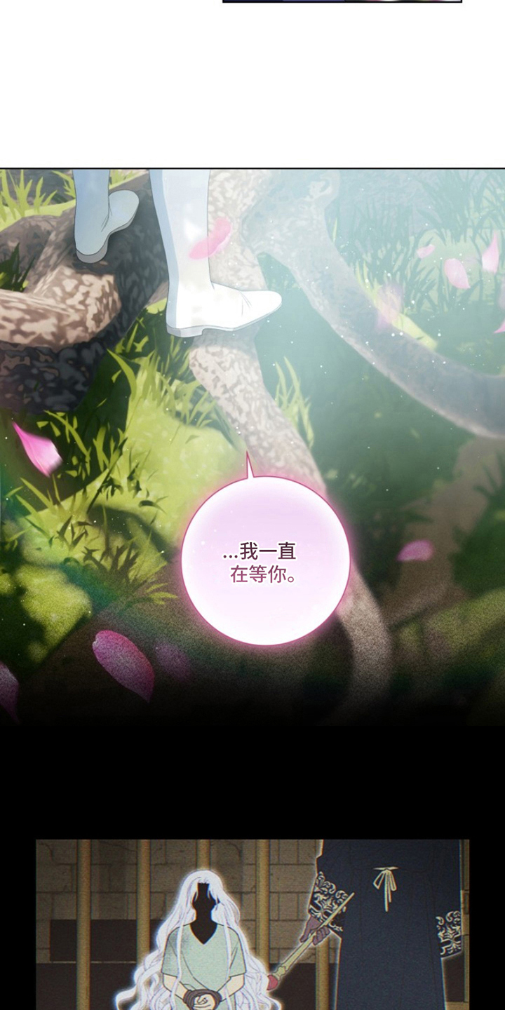 第30章：最美丽的宝物：新的冒险（完）1