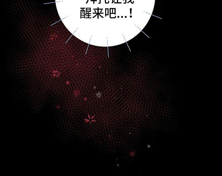 第43章：让我醒来吧2