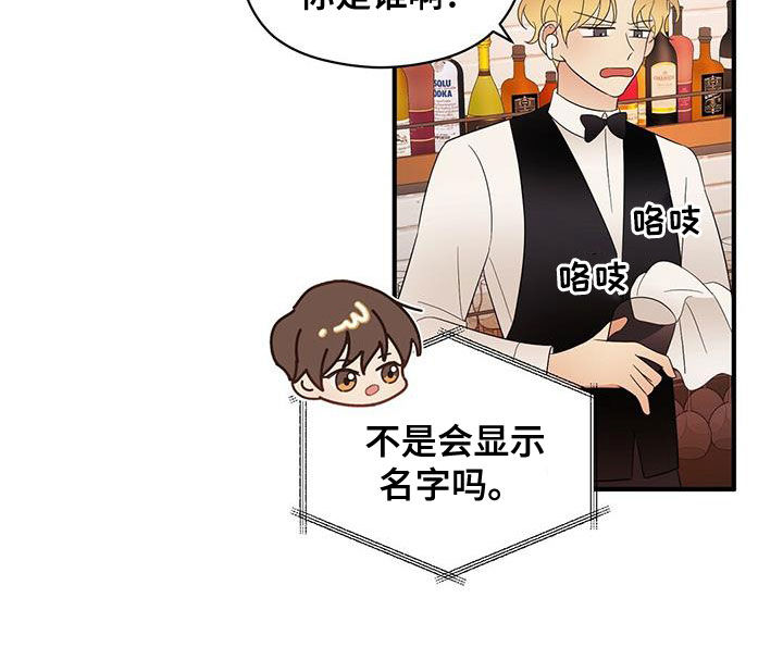 第50章：蓝图1