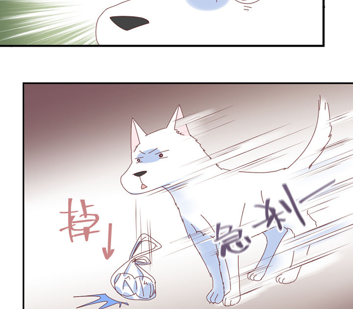 第56章：肉包2