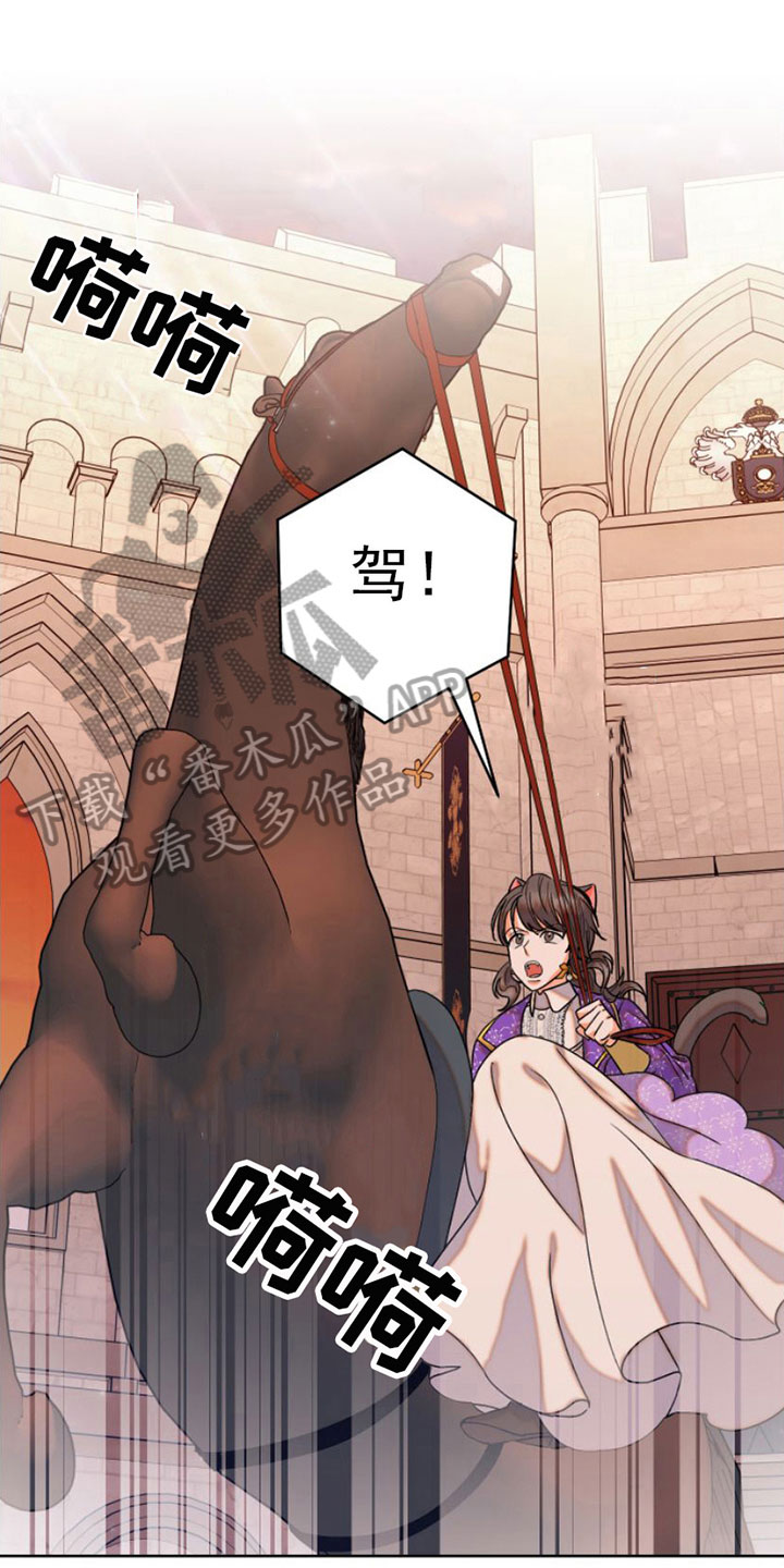 第11章：缰绳依旧【完结】0