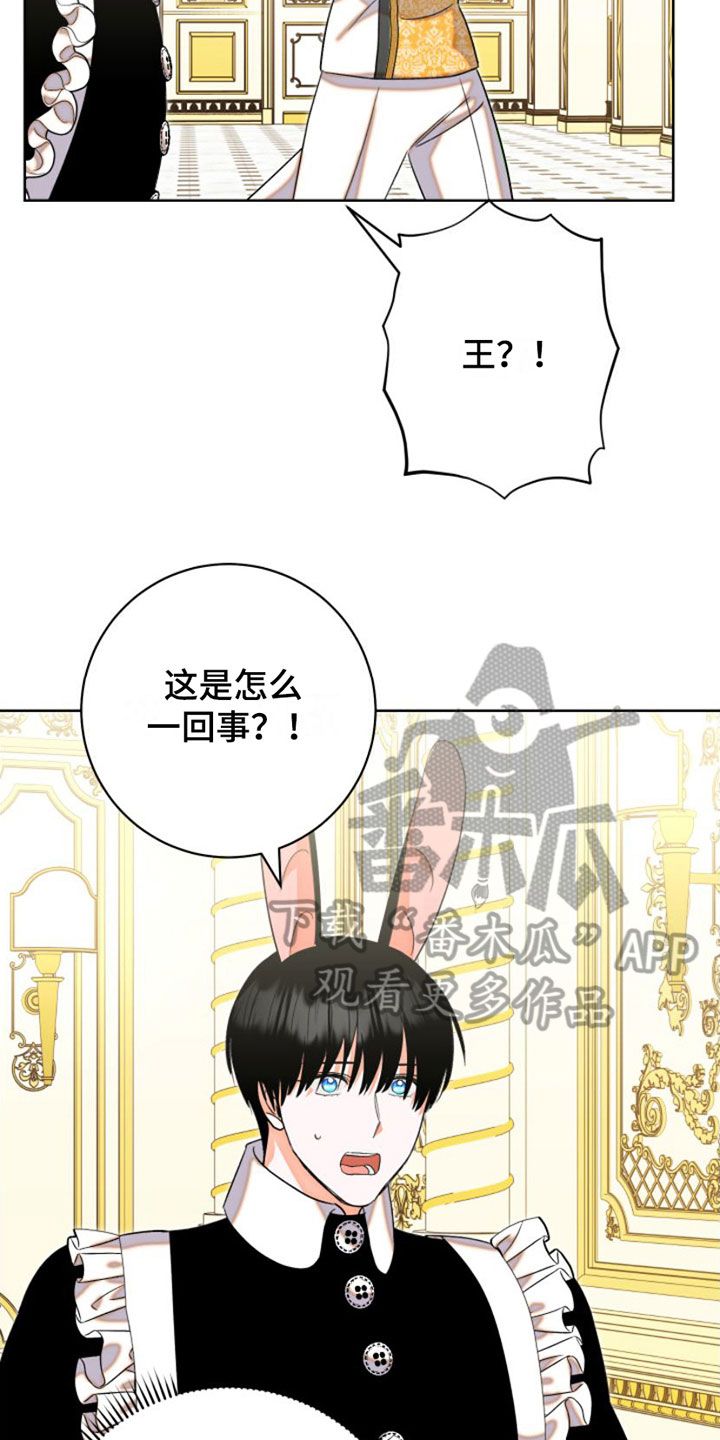 第6章：包扎4