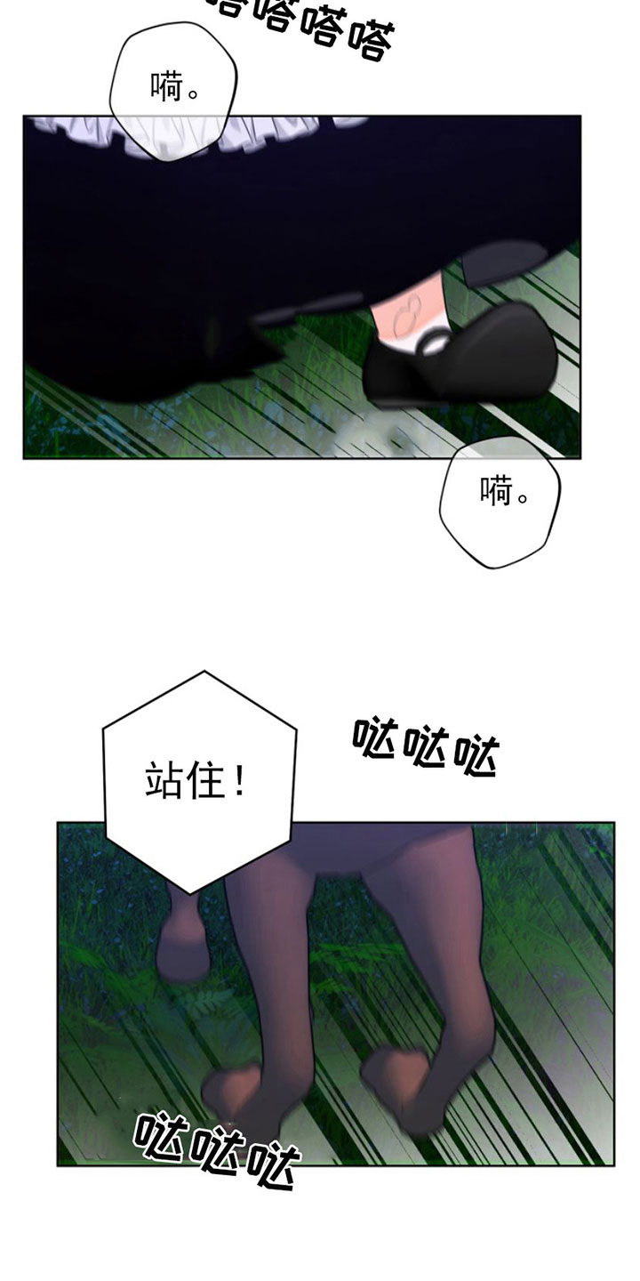 第11章：缰绳依旧【完结】3