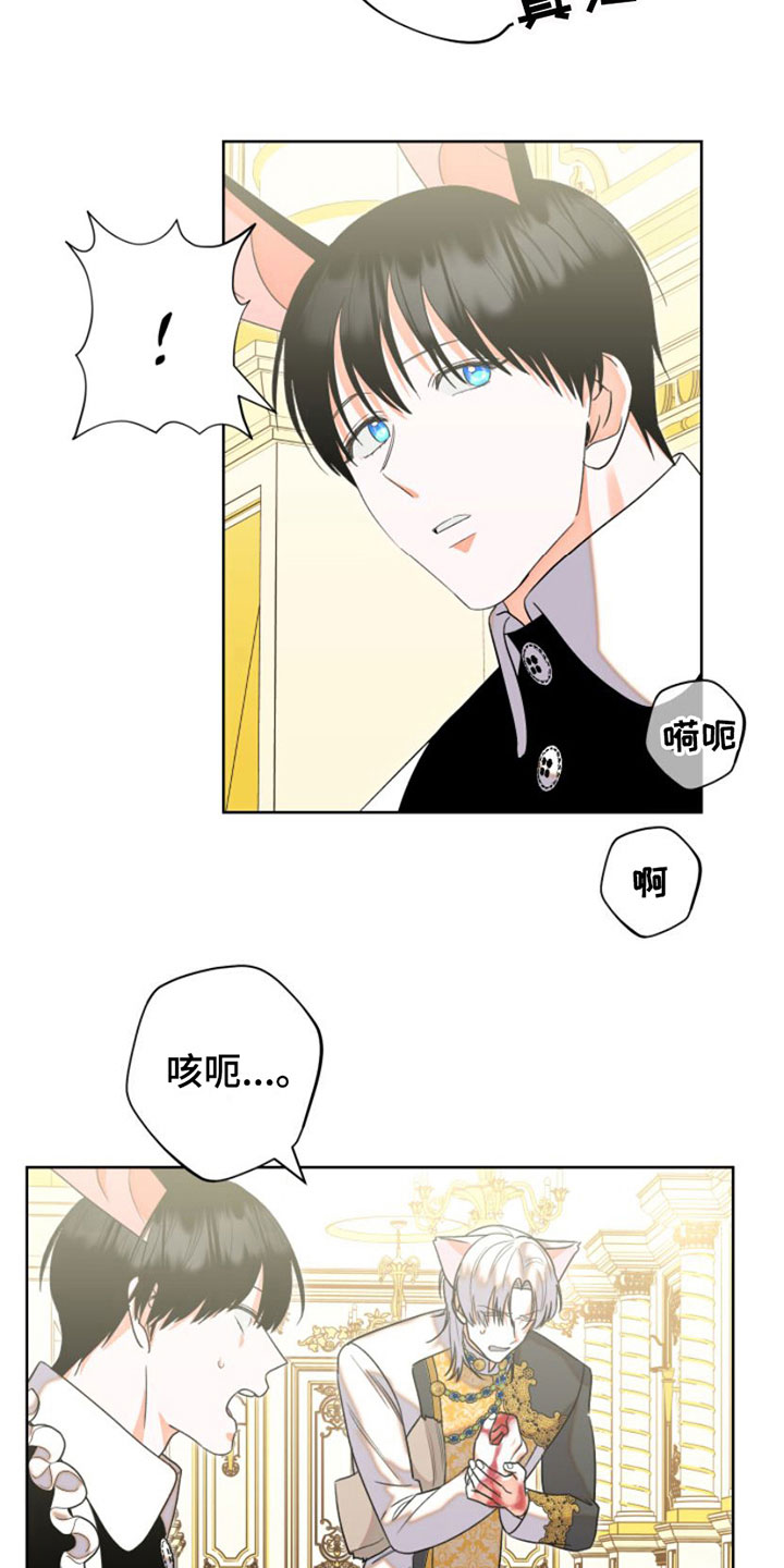第6章：包扎3