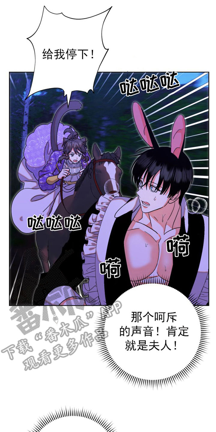 第11章：缰绳依旧【完结】4