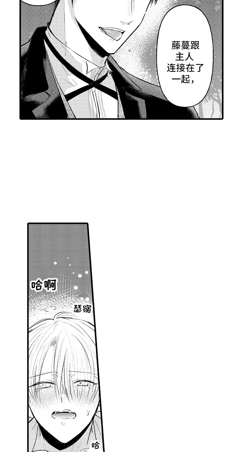 第13章：很体贴3